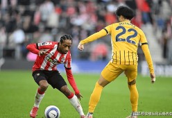 布莱顿训练开放日；集结日迎来里程碑引欢呼；CBA常规赛在即；阵容厚度经受考验-爱游戏